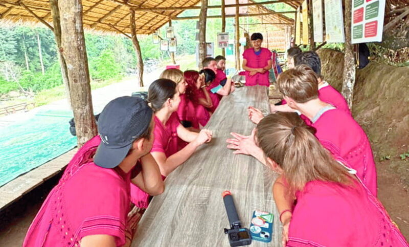 Chiang Mai: Ethical Half Day Elephant Sanctuary & Waterfall - The Slight Drawback