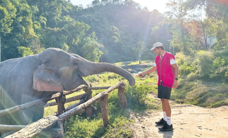 Chiang Mai: Ethical Half Day Elephant Sanctuary & Waterfall - Waterfall and Tea Break