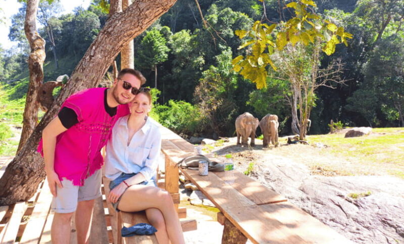 Chiang Mai: Ethical Half Day Elephant Sanctuary & Waterfall - Lunch and Return