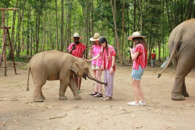 Chiang Mai: Full-Day Kerchor Elephant Eco Park Tour & Trek - A Close Look at the Experience