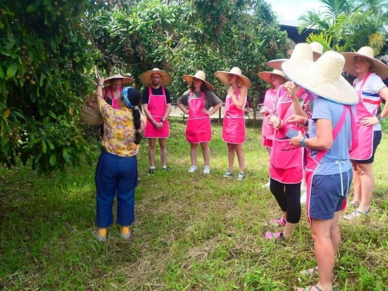 Chiang Mai: Full-Day Thai Cooking Experience at a Local Farm - Hands-On Cooking Workshop