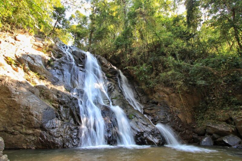 Chiang Mai: Guided Jungle and Waterfall Trek with Transfer - FAQ