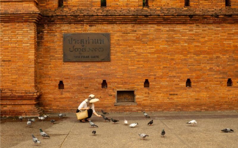 Chiang Mai: Half day Thai Costume with Cafe hopping - Who Will Love This Tour?