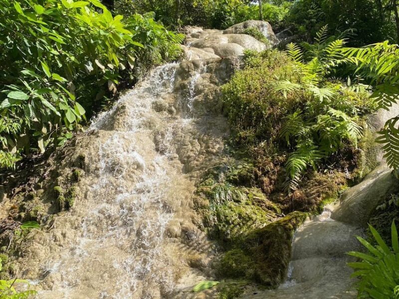 Chiang Mai Half Day Tour: Sticky Waterfall & Hotel Transfer - Who Will Love This Tour?