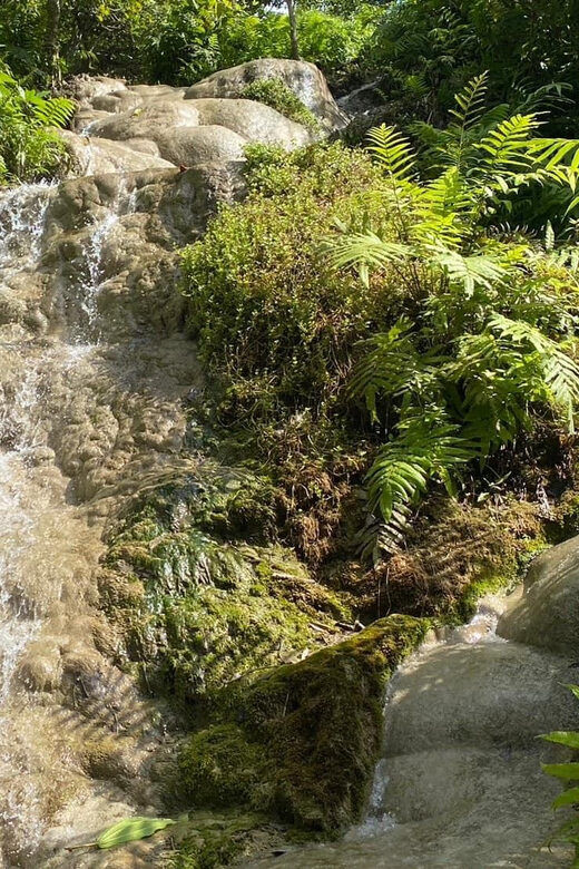 Chiang Mai Half Day Tour: Sticky Waterfall & Hotel Transfer - FAQs