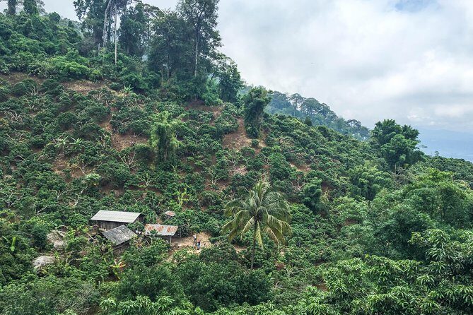 Chiang mai Hike & Downhill Bike Adventure Suthep National Park - FAQ