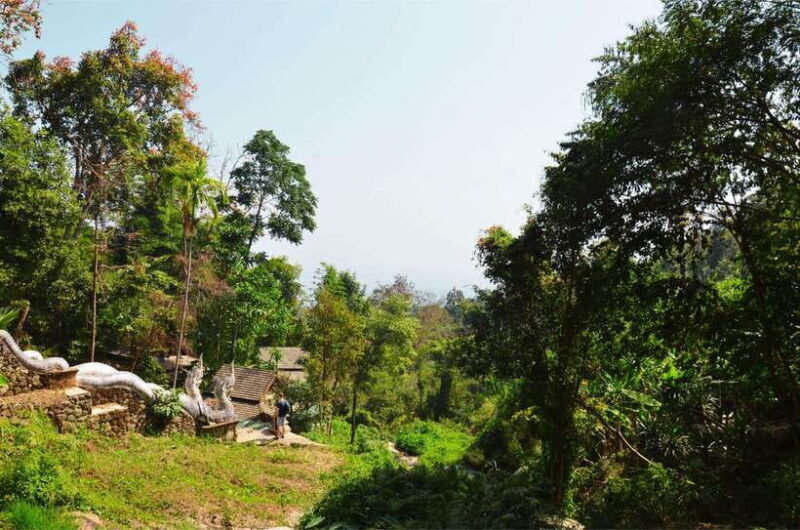 Chiang Mai: Hike on Monks Trail and Doi Suthep Private Tour - Who Should Consider This Tour?