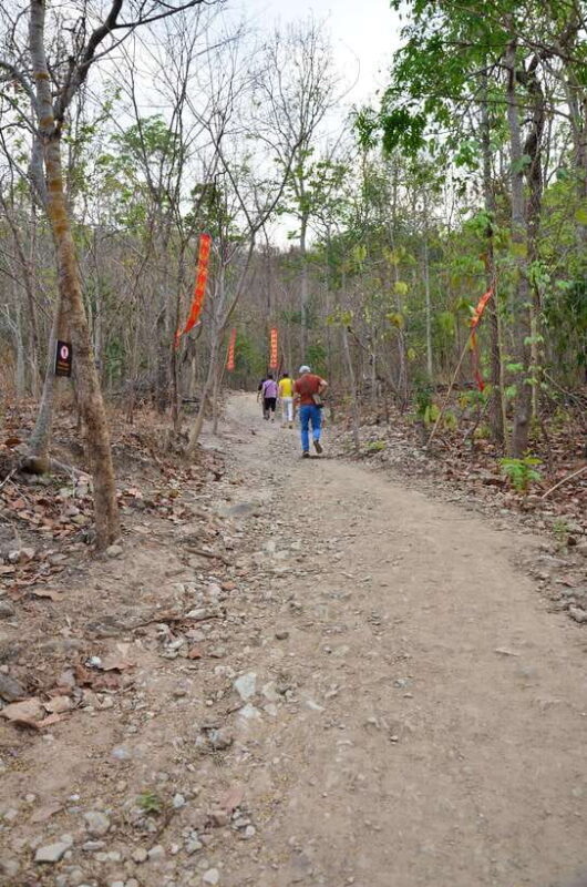 Chiang Mai: Hike on Monks Trail and Doi Suthep Private Tour - Frequently Asked Questions (FAQs)