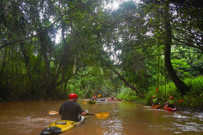 Chiang Mai : Kayak the Jungle Rivers of Chiang Dao Valley! - Key Points