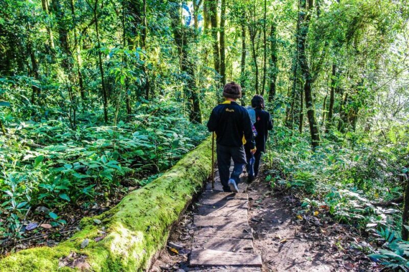 Chiang Mai: Kew Mae Pan Nature Trail & Doi Inthanon Day Trip - FAQ