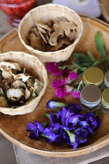 Chiang Mai : Making Herbal Ball And Inhaler - Key Points