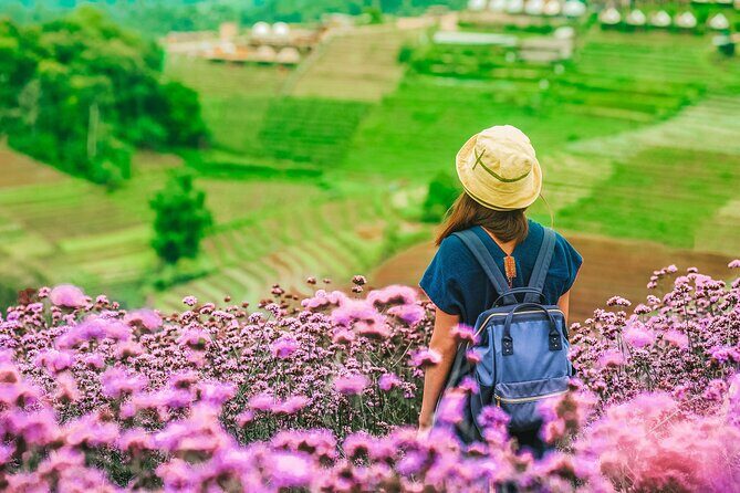 Chiang Mai Mon Jam Highlands and Pongyang Full-Day Private Tour - In-Depth Look at the Itinerary