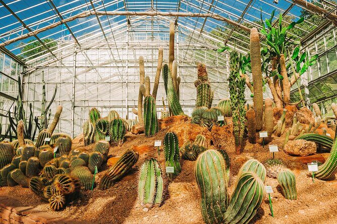 Chiang Mai Mon Jam Highlands and Pongyang Full-Day Private Tour - Who Will Love This Tour?