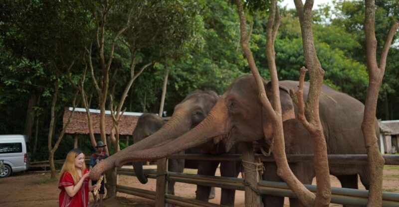 Chiang Mai: National Elephant Care, Rafting, & Ziplines Trip - Experience Chiang Mai’s Connection with Nature and Animals