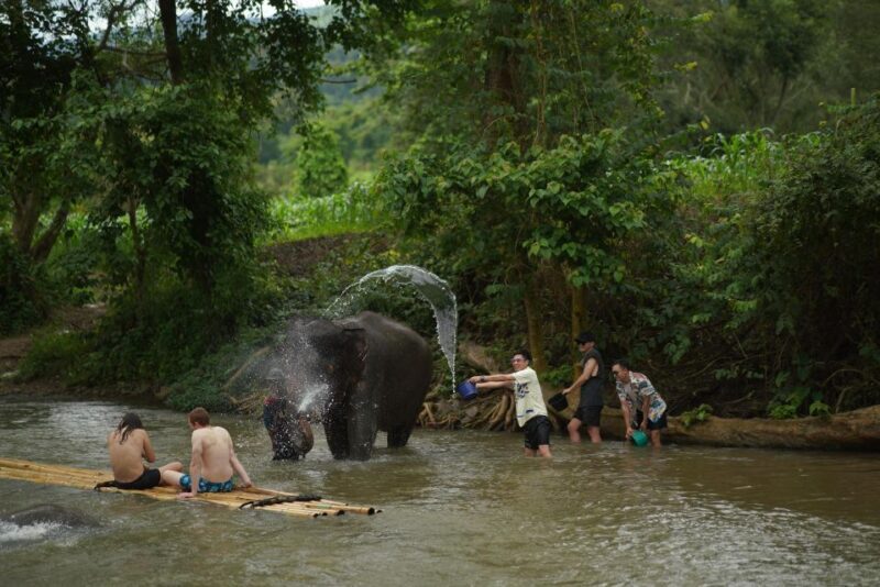 Chiang Mai: National Elephant Care, Rafting, & Ziplines Trip - What Makes This Tour Stand Out?