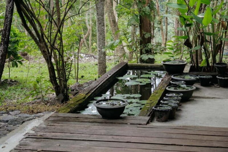 Chiang Mai: Nature and Nurture 1-Day All About Love Retreat - Frequently Asked Questions