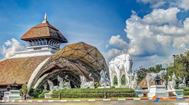 Chiang Mai Night Safari: Entry Ticket with Tram Ride - An Authentic Night Safari Adventure in Chiang Mai