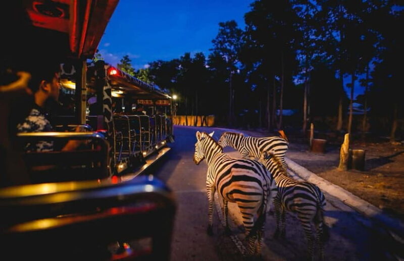 Chiang Mai Night Safari Full Access Ticket & Optional Pickup - What Is Chiang Mai Night Safari?
