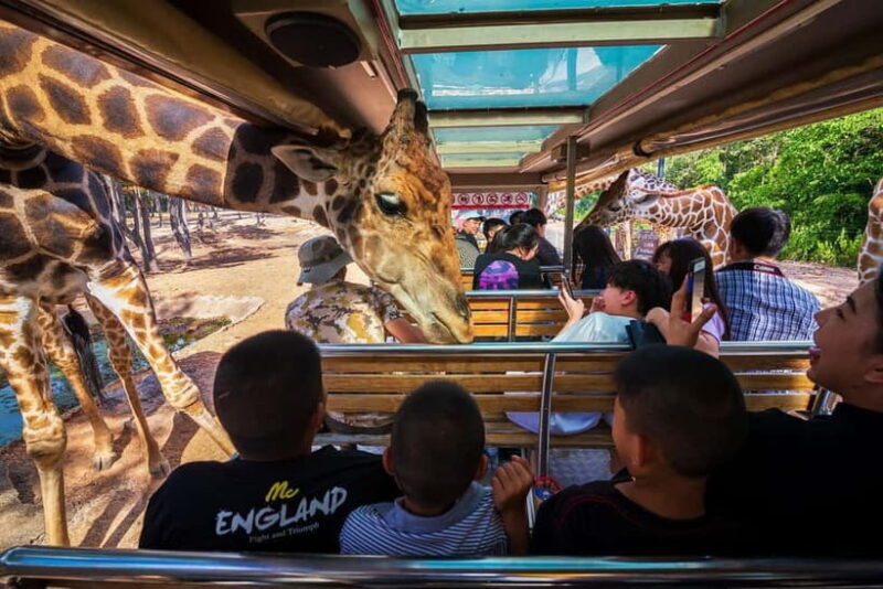 Chiang Mai Night Safari Full Access Ticket & Optional Pickup - How Does the Ticket and Transportation System Work?