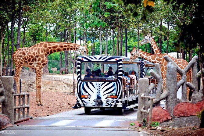 Chiang Mai Night Safari Tour including Transfer (Minimum 2 pax) - The Heart of the Night Safari Experience