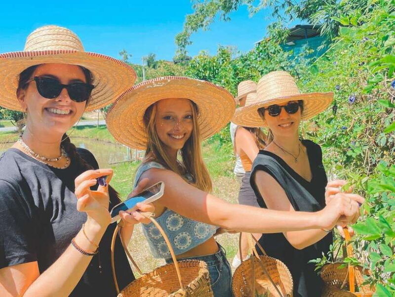 Chiang Mai Organic Thai Cooking Experience - Chiang Mai Organic Thai Cooking Experience