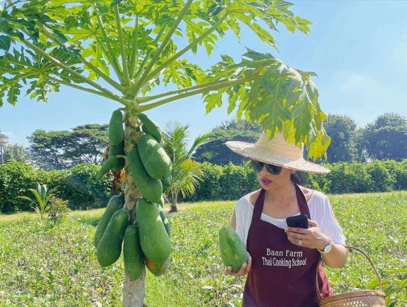 Chiang Mai Organic Thai Cooking Experience - Key Points