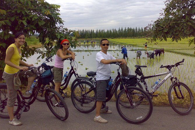 Chiang Mai Paradise Full-Day Cycling Adventure Tour - Overview of the Chiang Mai Paradise Cycling Tour