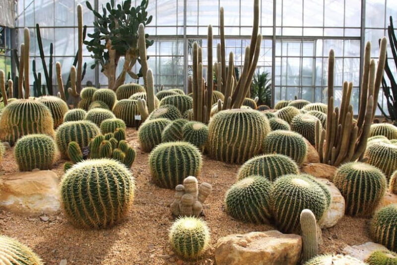 Chiang Mai: Queen Sirikit Botanic Garden Entry Ticket - Key Points