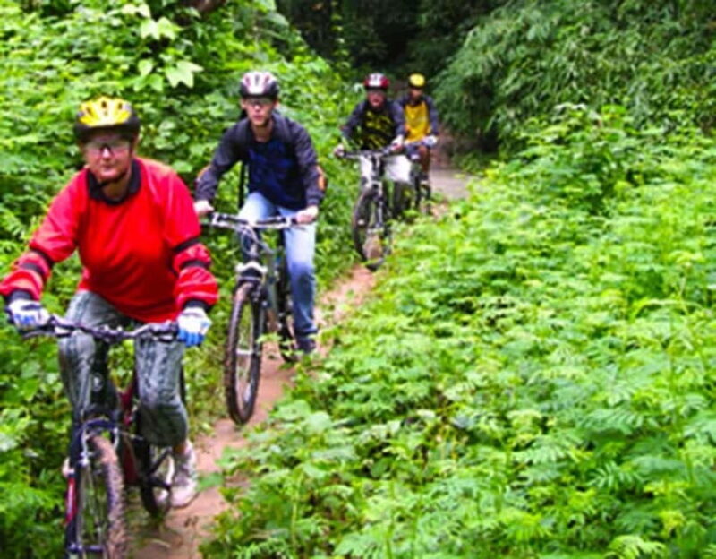 Chiang Mai: Rainforest Guided Mountain Biking Tour - An In-Depth Look at the Rainforest Mountain Biking Tour