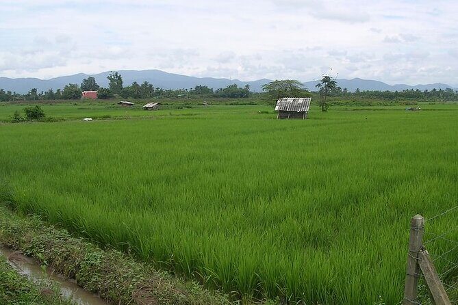 Chiang Mai Rice Fields Biking Tour - Final Thoughts
