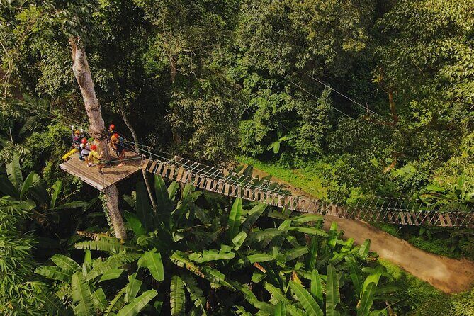 Chiang Mai Sky Hawk Zipline Adventure in the Jungle Canopy - Who This Tour Is Best For