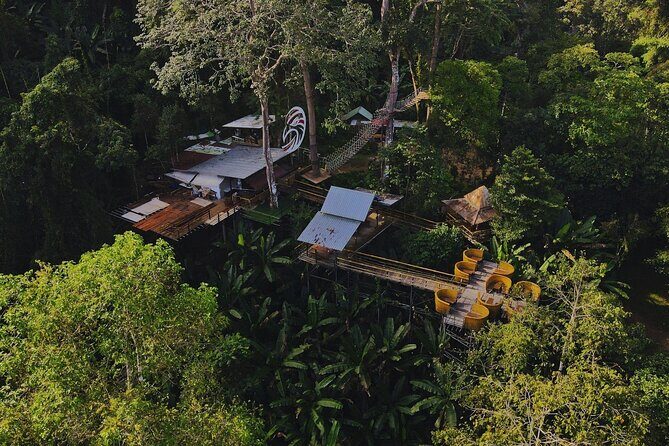 Chiang Mai Sky Hawk Zipline Adventure in the Jungle Canopy - Frequently Asked Questions