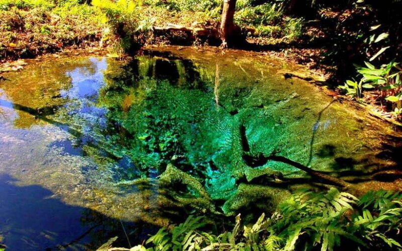 Chiang Mai: Sticky Waterfall, Chet Si Fountain Park Transfer - Key Points