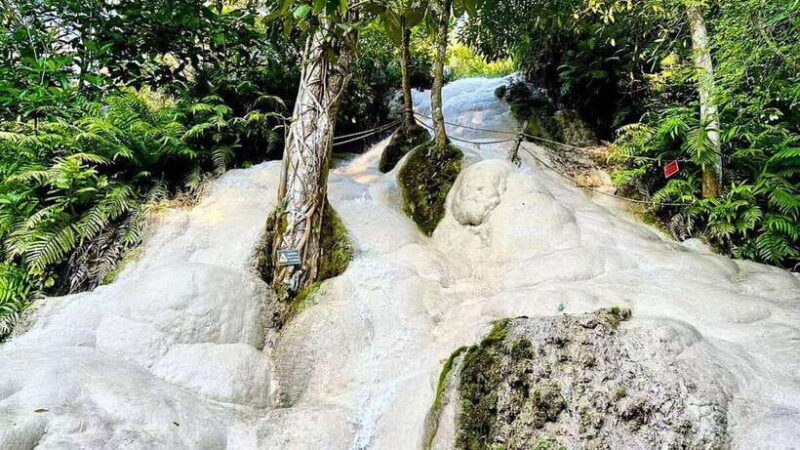 Chiang Mai: Sticky Waterfall, Chet Si Fountain Park Transfer - In-Depth Review of the Chiang Mai Sticky Waterfalls and Chet Si Fountain Tour