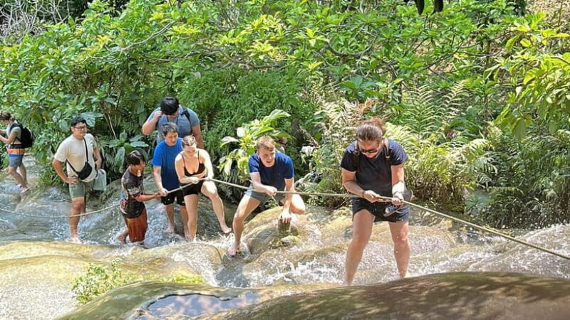 Chiang Mai : Sticky waterfall (Half Day Tour) Hotel Transfer - What to Expect on Your Chiang Mai Sticky Waterfall Tour