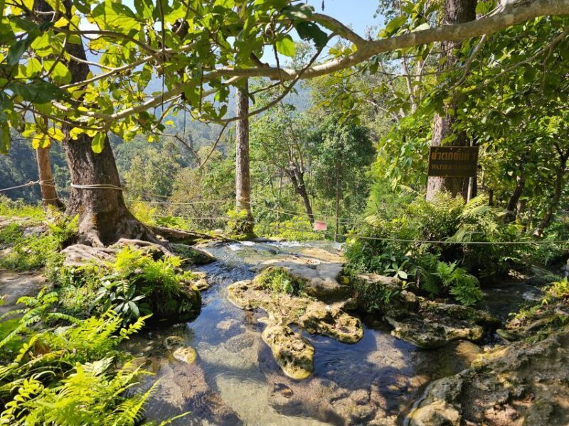 Chiang Mai: Sticky Waterfall Half-Day Tour & Hotel Transfers - Why This Tour Stands Out