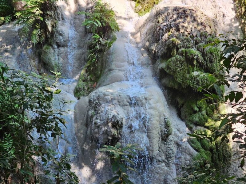 Chiang Mai: Sticky Waterfall Half-Day Tour & Hotel Transfers - The Sum Up