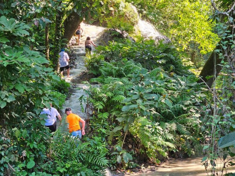 Chiang Mai: Sticky Waterfall Half-Day Tour & Hotel Transfers - FAQ