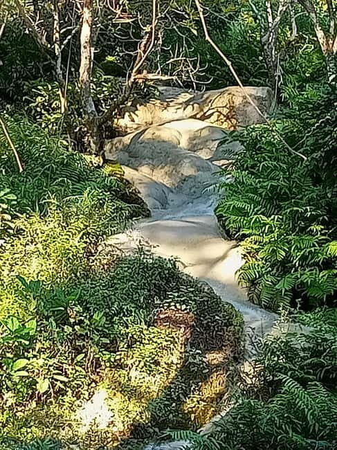 Chiang Mai: Sticky Waterfall Half day tour - Key Points