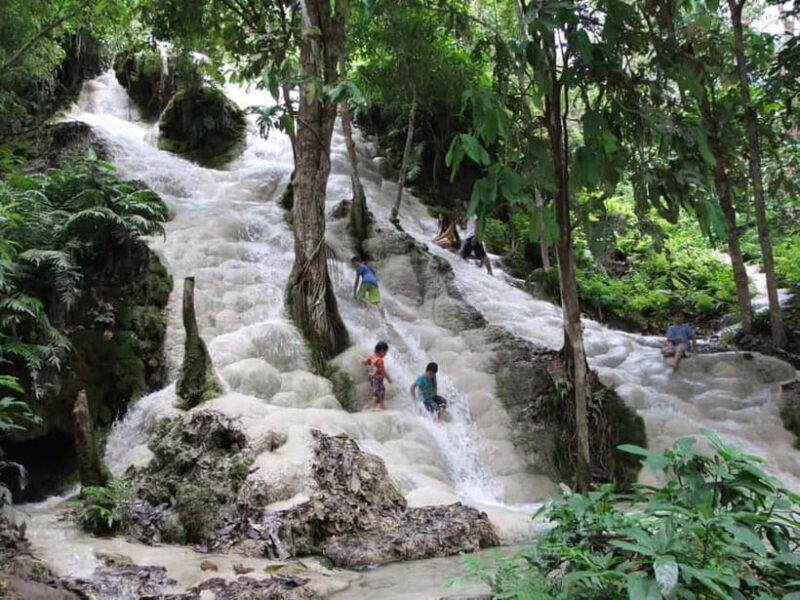 Chiang Mai: Sticky Waterfall Half day tour - A Closer Look at the Experience