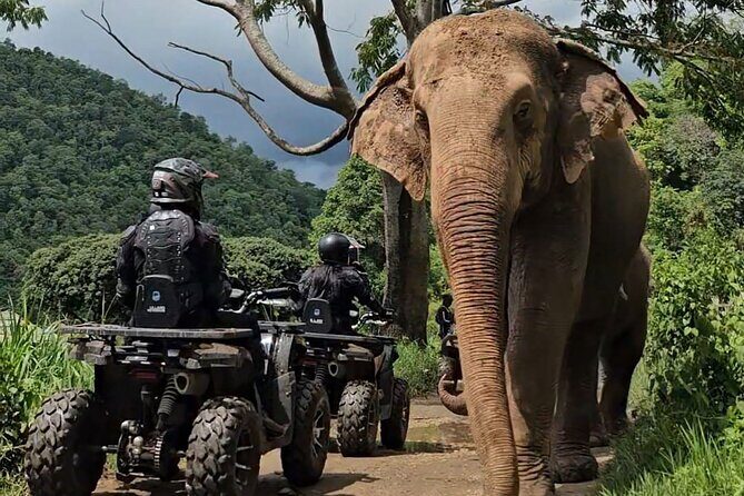 Chiang Mai Sticky Waterfall Tour ATV and Scenic Café - Who Is This Tour Best Suited For?