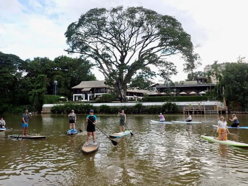 Chiang Mai: SUP Paddleboarding on the Ping River - What to Expect on the Tour