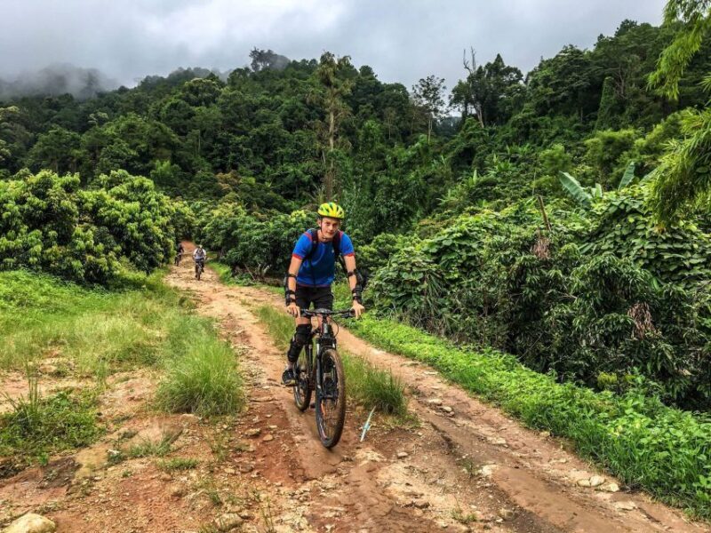 Chiang Mai: Suthep National Park Hiking & DH Mountain Biking - An In-Depth Look at the Tour Experience