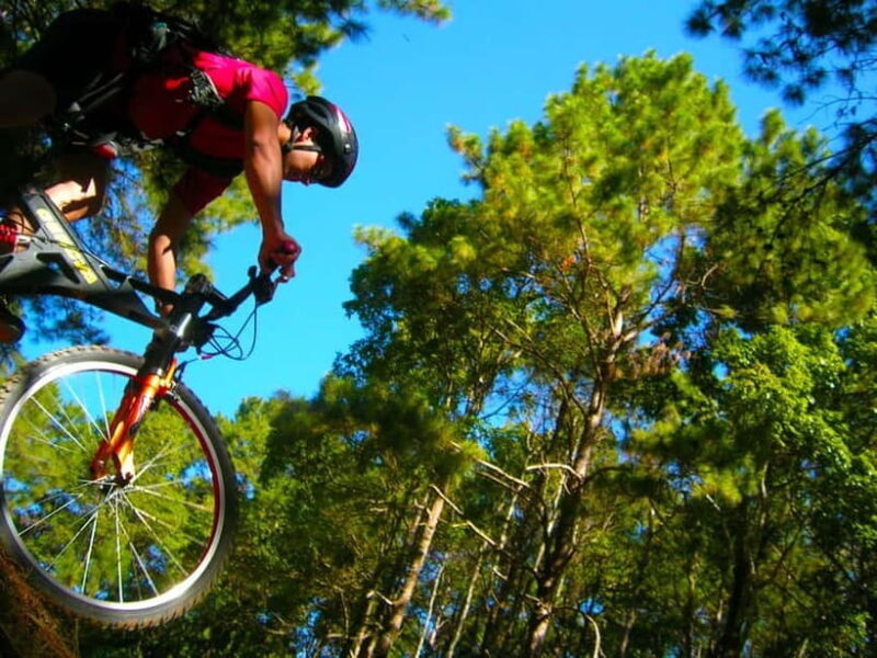 Chiang Mai: Suthep National Park Hiking & DH Mountain Biking - Who Should Consider This Tour?