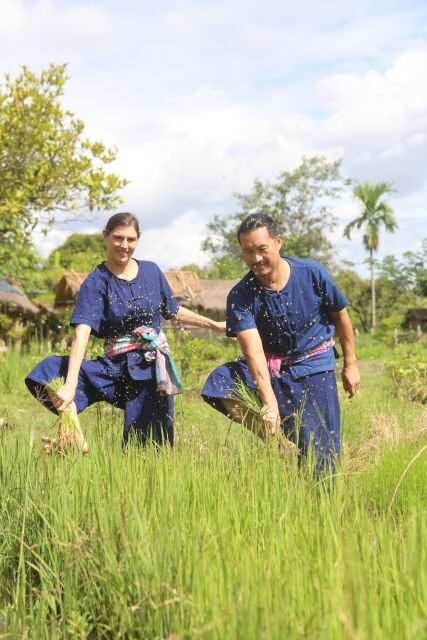 Chiang Mai: Thai Buffalo and Rice Planting Experience - The Sum Up