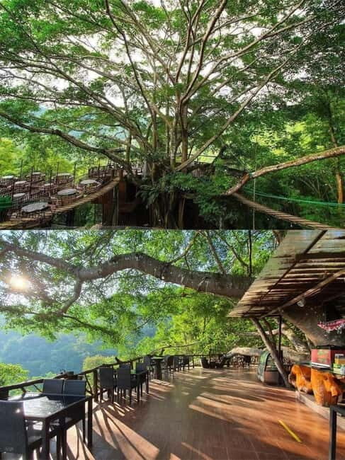 Chiang Mai: The Giant Café & Mae Kampong Village Day Trip - Key Points