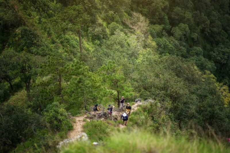 Chiang Mai : Thep Sadet & Coffee Plantation Full Day Hiking - Authentic Experiences That Speak to Travelers