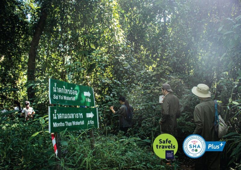 Chiang Mai Trek: Doi Suthep Area w/ Market and Temple Visit - The Sum Up