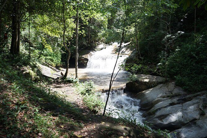 Chiang Mai Trekking Tour :Full day (no rafting) - Key Points
