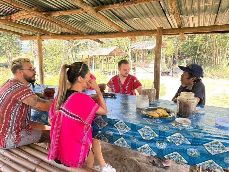 Chiang Mai Untouched Elephant: Nature Walk & Waterfall Trek - A Genuine Day with Elephants in Chiang Mai